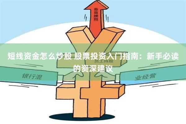 短线资金怎么炒股 股票投资入门指南：新手必读的资深建议