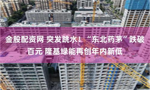 金股配资网 突发跳水！“东北药茅”跌破百元 隆基绿能再创年内新低