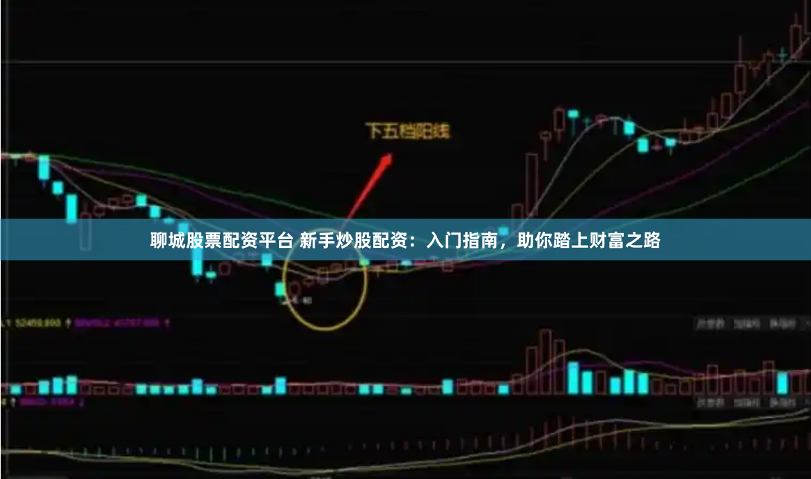 聊城股票配资平台 新手炒股配资：入门指南，助你踏上财富之路