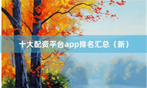十大配资平台app排名汇总（新）