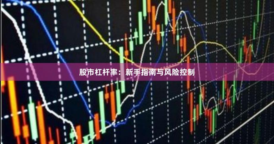 股市杠杆率：新手指南与风险控制