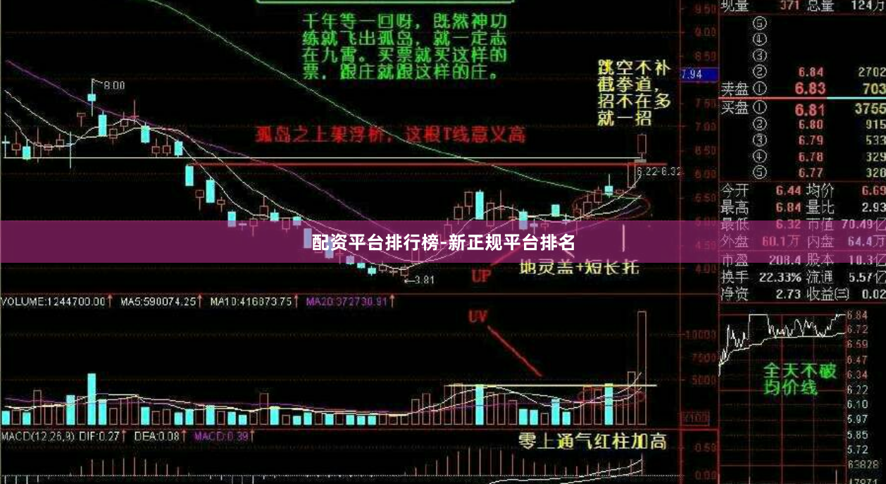 配资平台排行榜-新正规平台排名