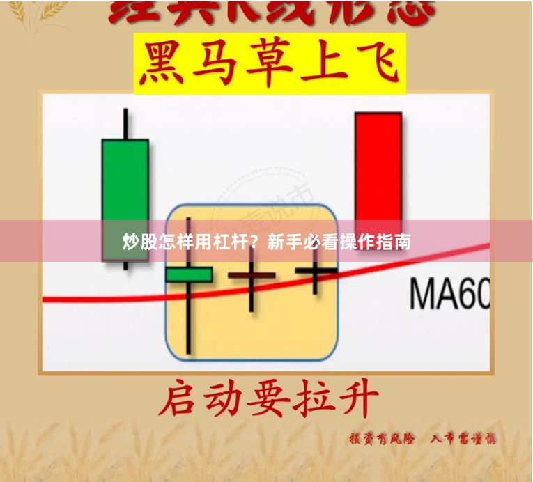 炒股怎样用杠杆？新手必看操作指南